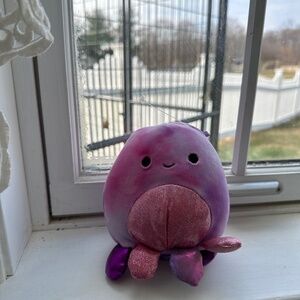 Squish mellow Adelaide octopus